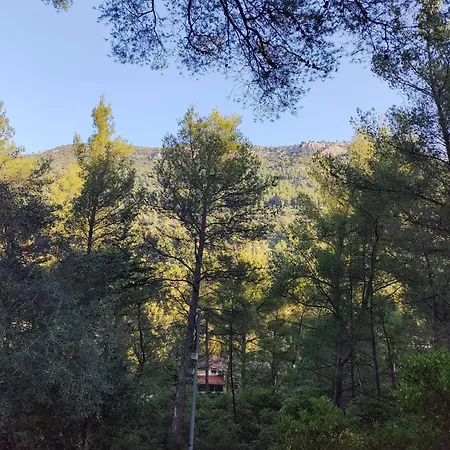 Maisonnette-studio 83200 Τουλόν